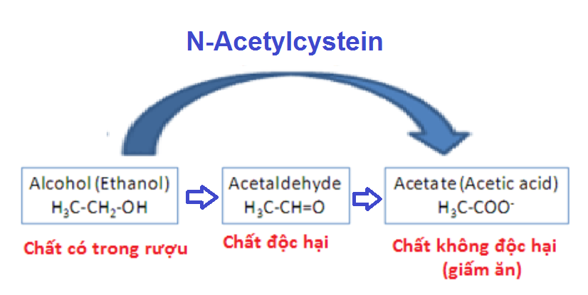 N-Acetylcystein giúp ethanol chuyển hóa thành chất không độc hại là acid acetic (giấm ăn)