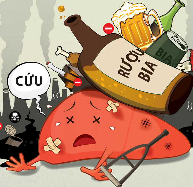 Tăng men gan do uống nhiều bia rượu và giải pháp giúp bảo vệ gan