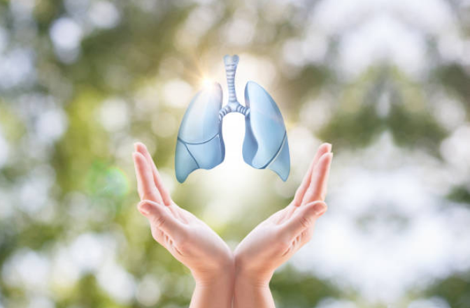 Thải độc phổi ngay từ bây giờ để có lá phổi khỏe mạnh