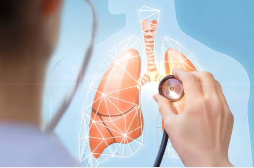 Y học hiện đại tìm ra nguyên nhân khiến phổi yếu, từ đó xây dựng công thức bổ phổi một cách toàn diện nhất