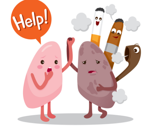 Khói thuốc là nguyên nhân hàng đầu khiến phổi suy yếu