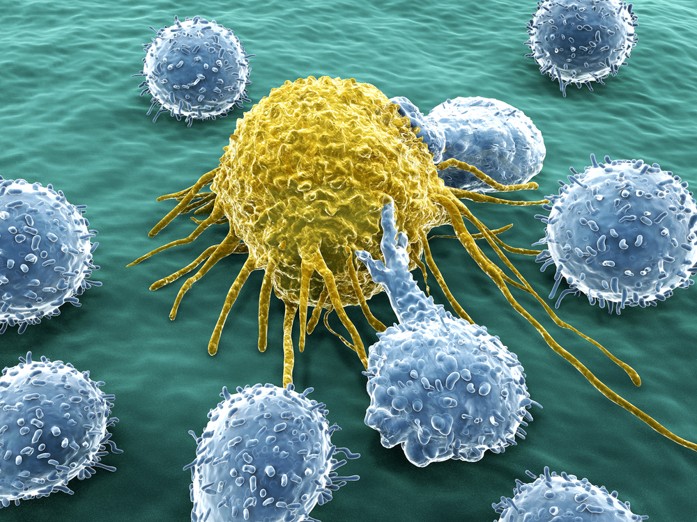 Tế bào NK có khả năng phát hiện và tiêu diệt tế bào đột biến