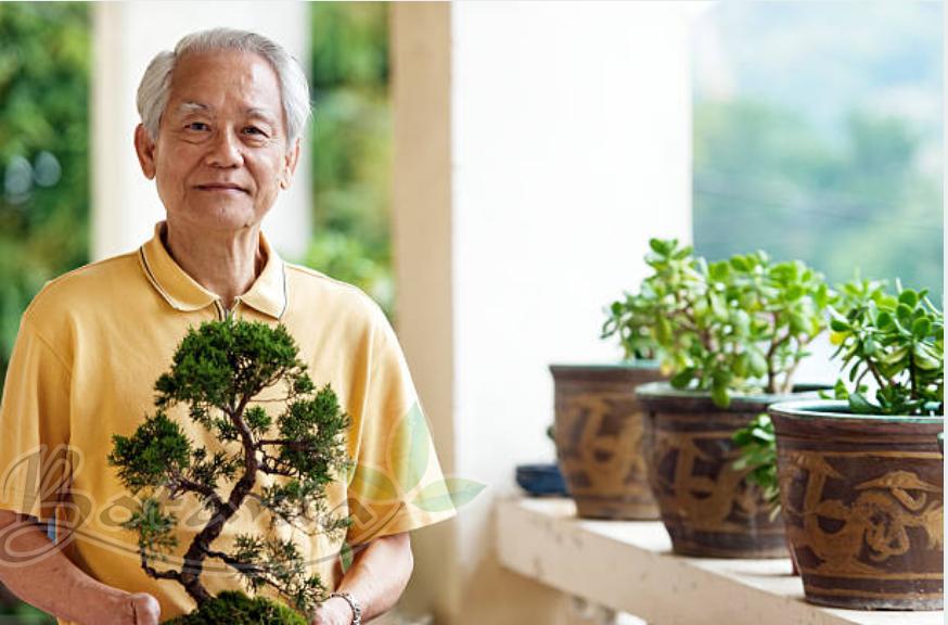 Bác Võ Hoành, 83 tuổi, ở thôn Gia Cát, xã Quế Phong, huyện Quế Sơn, tỉnh Quảng Nam