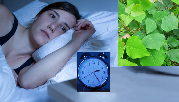 Tìm hiểu cách chữa mất ngủ bằng lá vông theo kinh nghiệm dân gian