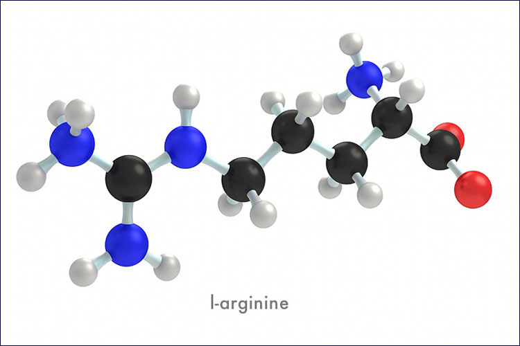 L-Arginine giúp tăng cường tổng hợp HGH