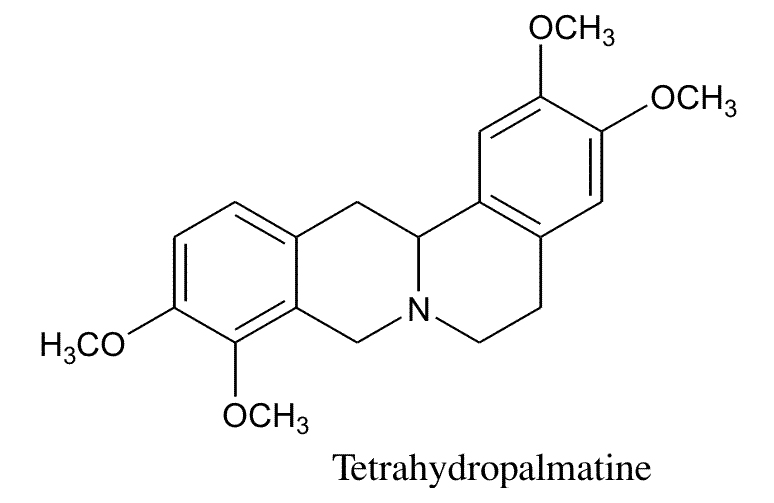 Tetrahydropalmatin là hoạt chất chính trong củ bình vôi