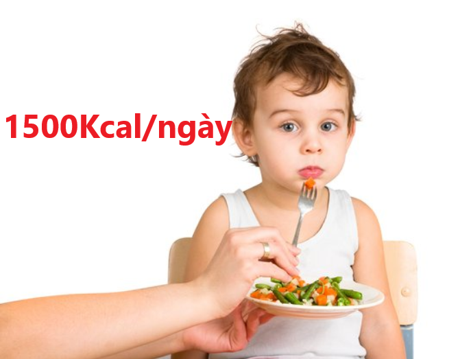 Nhu cầu năng lượng của trẻ 4 tuổi biếng ăn tối thiểu là 1500Kcal/ngày
