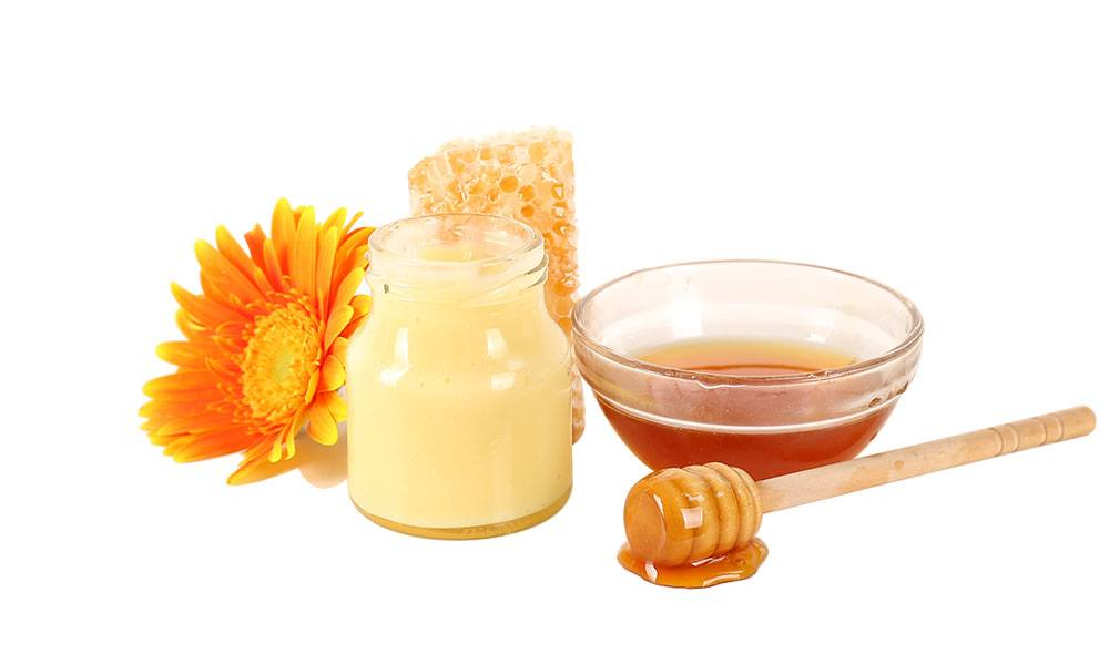 Bổ sung sữa ong chúa giúp kích thích bé ăn ngon miệng hơn