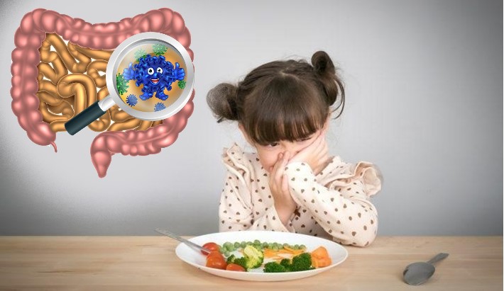 Trẻ không chịu ăn do hệ vi sinh đường ruột bị rối loạn