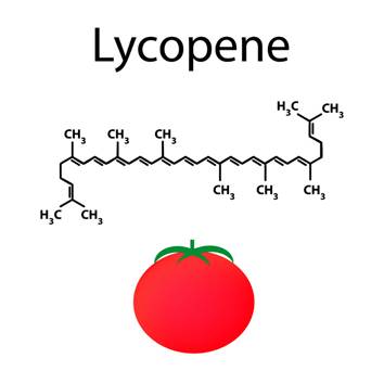 Lycopene chiết xuất từ quả cà chua chín