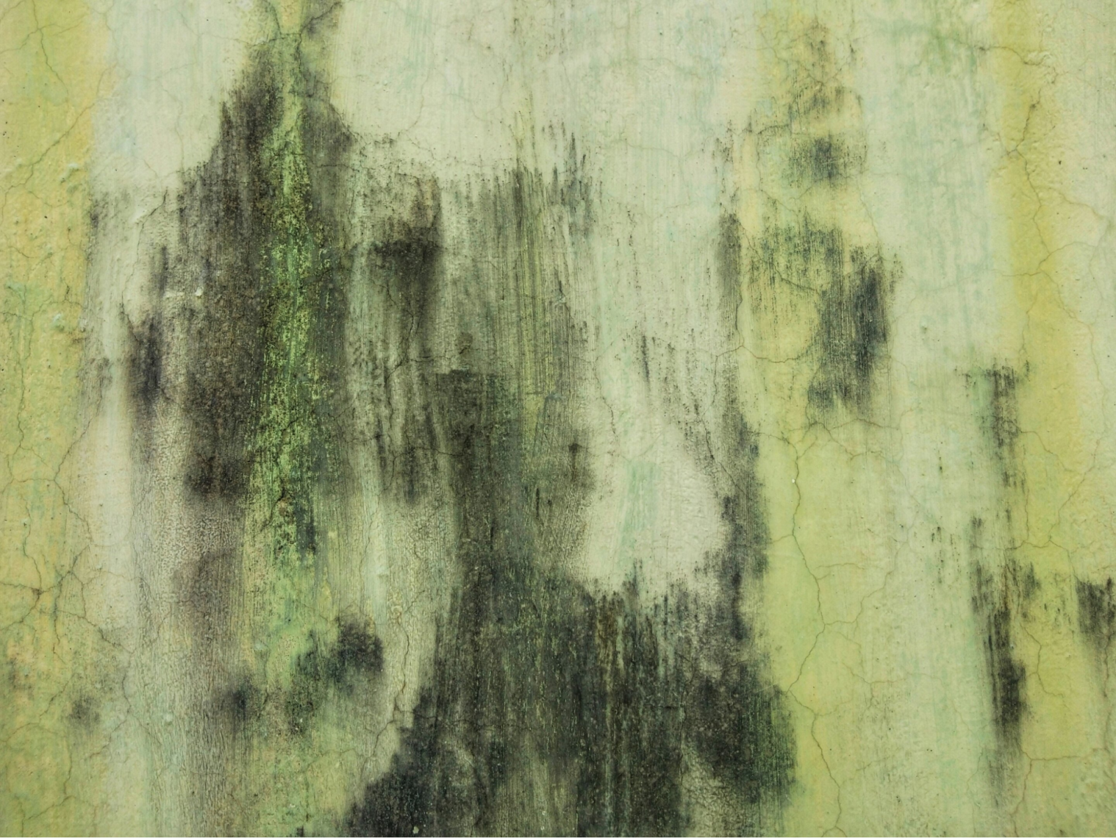 Nấm mốc trong nhà gây suy giảm chức năng phổi ở trẻ em