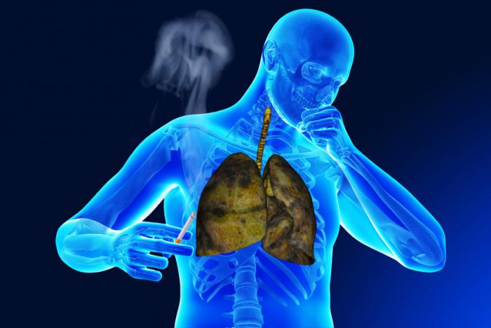 3 cơ quan trong cơ thể bị ảnh hưởng nặng nề nhất bởi thuốc lá